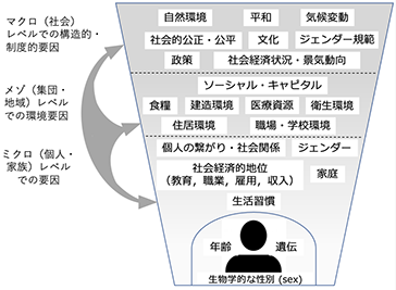 図１：健康に影響を及ぼす多重レベルの要因